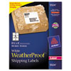 Avery&reg; WeatherProof&trade; Durable Labels