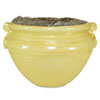 Planter (Pots)
