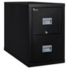 Patriot Insulated Two Drawer Fire File 17 3 4w x 31 5 8d x 27 3 4h Black
