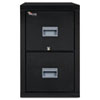 Patriot Insulated Two Drawer Fire File 20 3 4w x 31 5 8d x 27 3 4h Black