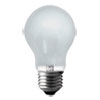Halogen Light Bulbs, 53 Watts, Frosted, 2/Pack
