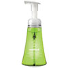Foaming Hand Wash Green Tea amp; Aloe 10 oz Pump Bottle 6 Carton