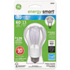 Energy Smart 174; LED 13 Watt A19