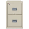 Patriot Insulated Two Drawer Fire File 17 3 4w x 25d x 27 3 4h Parchment