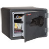 One Hour Fire and Water Safe with Electronic Lock 2.8 cu. ft. Graphite