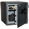 One Hour Fire and Water Safe w Biometric Fingerprint Lock 3.66 cu. ft Graphite