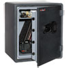 One Hour Fire and Water Safe with Electronic Lock 5.50 cu. ft. Graphite