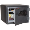 One Hour Fire and Water Safe w Biometric Fingerprint Lock 2.8 cu. ft Graphite