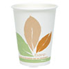 Bare by Solo Eco Forward PLA Paper Hot Cups 12 oz Leaf Design 50 Pack