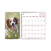 Monthly Pocket Planners, Dog Artwork, 6.5 x 3.5, Multicolor Cover, 18-Month (Jul to Dec): 2022 to 2023