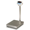 Brecknell 300 lb. Capacity Bench/Floor Scale