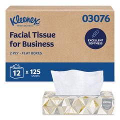 White Facial Tissue for Business, 2-Ply, 125 Sheets/Box, 12 Boxes/Carton