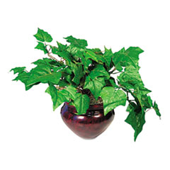NUDT7901 - Artificial Ivy Plant in a Mahogany Fiberglass Pot