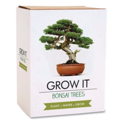 Gift Republic Bonsai Tree Grow Kit Bonsai Tree Grow Kit