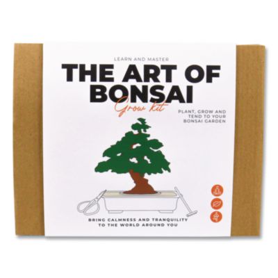 Gift Republic Bonsai Garden Grow Kit Bonsai Garden Grow Kit
