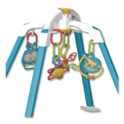 Play Gym Ages Infant to 18 Months NS0700