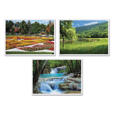 Hoffmaster® Placemats, Three Summer Days Photo Designs, Smooth Surface, Straight Edges, 14" x 10", Multicolor, 1,000/Carton