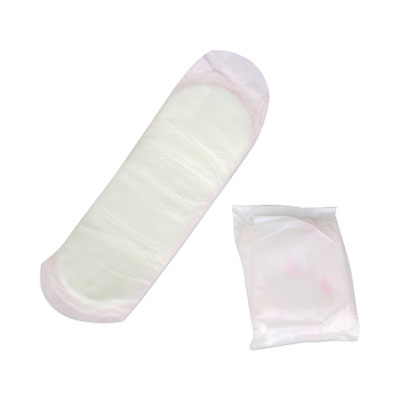 HOSPECO® Generic Packaged Sanitary Pads, Regular Absorbency, 24/Pack, 24 Packs/Carton