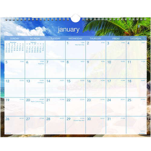 Tropical+Escape+Wall+Calendar%2C+Tropical+Escape+Photography%2C+15+x+12%2C+Pale+Blue%2FMulticolor+Sheets%2C+12-Month+%28Jan+to+Dec%29%3A+2025