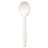 DXEPSM21 - Plastic Cutlery, Mediumweight Soup Spoons, White, 1000/Carton