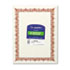GEO39086 - Award Certificates w/Gold Seals, 8-1/2 x 11, Unique Red Border, 25/Pack