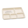 NatureHouse® Biodegradable/Compostable Bagasse Food Trays, 5-Compartment, White, 400/Carton