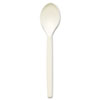 Plant Starch Teaspoon, Cream, 1000/Carton