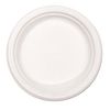 Chinet® Paper Dinnerware, Plate, 8-3/4