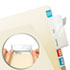 Protector, Top Tab Folder, 3 1/2 x 2, Clear, 500/BX