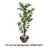 Artificial Bamboo Tree, 6-ft. Overall Height