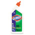 Toilet Bowl Cleaner w/Bleach, 24 oz. Bottle
