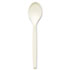 Plant Starch Teaspoon, Cream, 1000/Carton