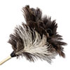 Professional Ostrich Feather Duster, 7" Handle