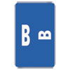 Alphaz Color-Coded Second Letter Alphabetical Labels, B, 1 X 1.63, Dark Blue, 10/sheet, 10 Sheets/pack