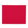Deluxe Bright Color Hanging File Folders, Letter Size, 1/5-Cut Tab, Red, 25/box