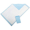 Protection Plus Disposable Underpads, 23" x 36", Blue, 25/Bag