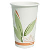 Bare By Solo Eco-Forward Recycled Content Pcf Paper Hot Cups, 16 Oz, Green/white/beige, 300/carton