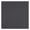 <strong>Armstrong®</strong><br />Fine Fissured Ceiling Tiles, Non-Directional, Square Lay-In (0.94"), 24" x 24" x 0.63", Black, 16/Carton