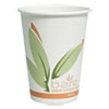 Bare By Solo Eco-Forward Recycled Content Pcf Paper Hot Cups, 12 Oz, Green/white/beige, 1,000/carton