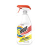 Laundry Stain Treatment, Pleasant Scent, 22 oz Trigger Spray Bottle