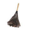 Professional Ostrich Feather Duster, 4" Handle