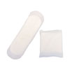 Generic Packaged Sanitary Pads, Regular Absorbency, 500/Carton