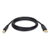 <strong>Tripp Lite</strong><br />USB 2.0 A/B Cable, 10 ft, Black