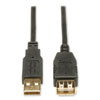<strong>Tripp Lite</strong><br />USB 2.0 A Extension Cable, 10 ft, Black