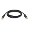 <strong>Tripp Lite</strong><br />USB 2.0 A/B Cable (M/M), 15 ft, Black