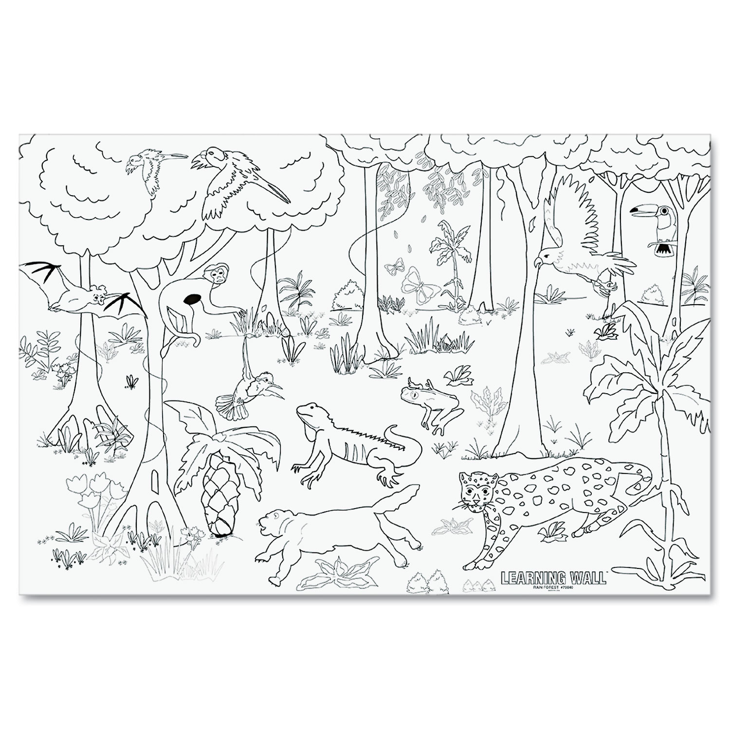 Learning Walls Paper, Rain Forest, 72 x 48