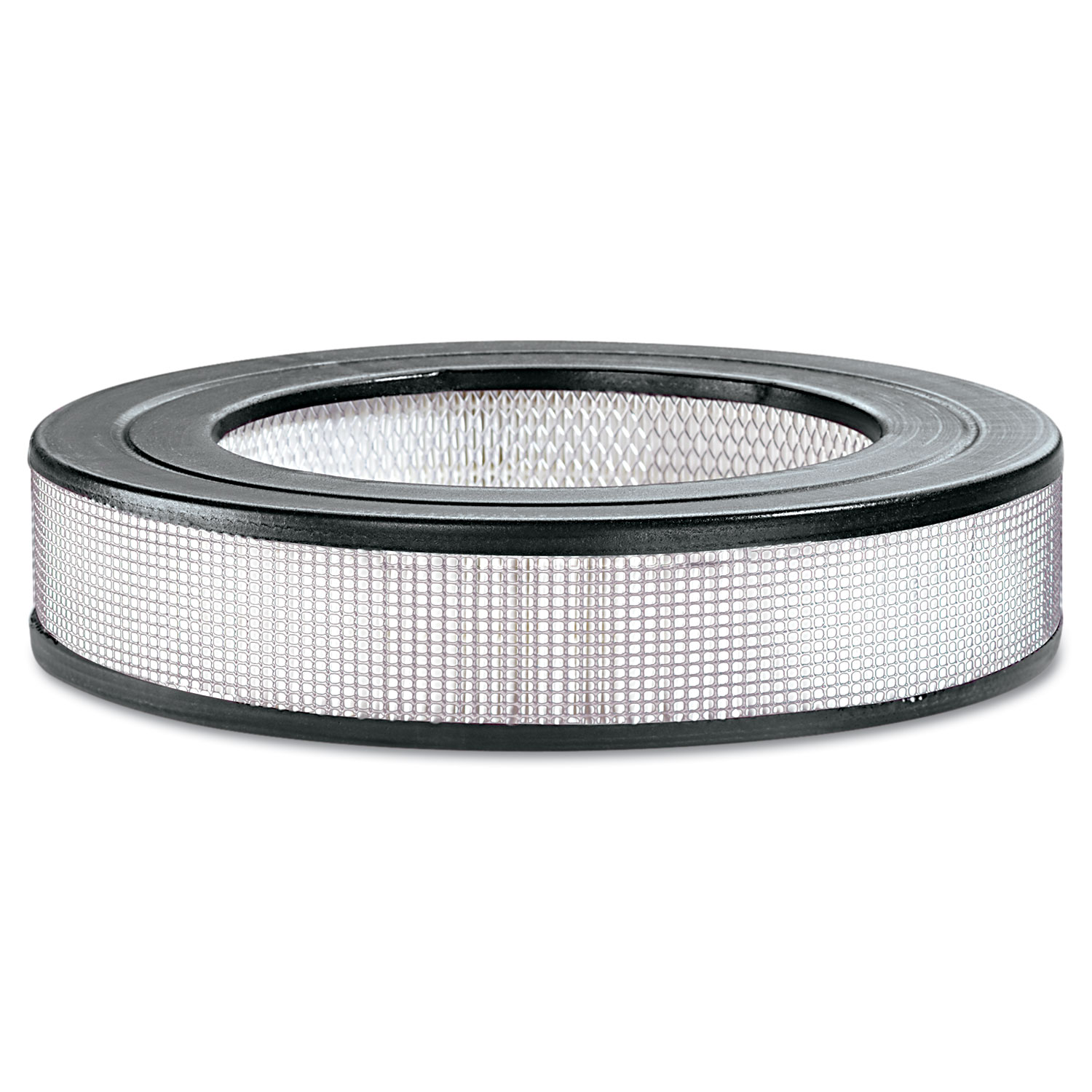 Round HEPA Replacement Filter, 14