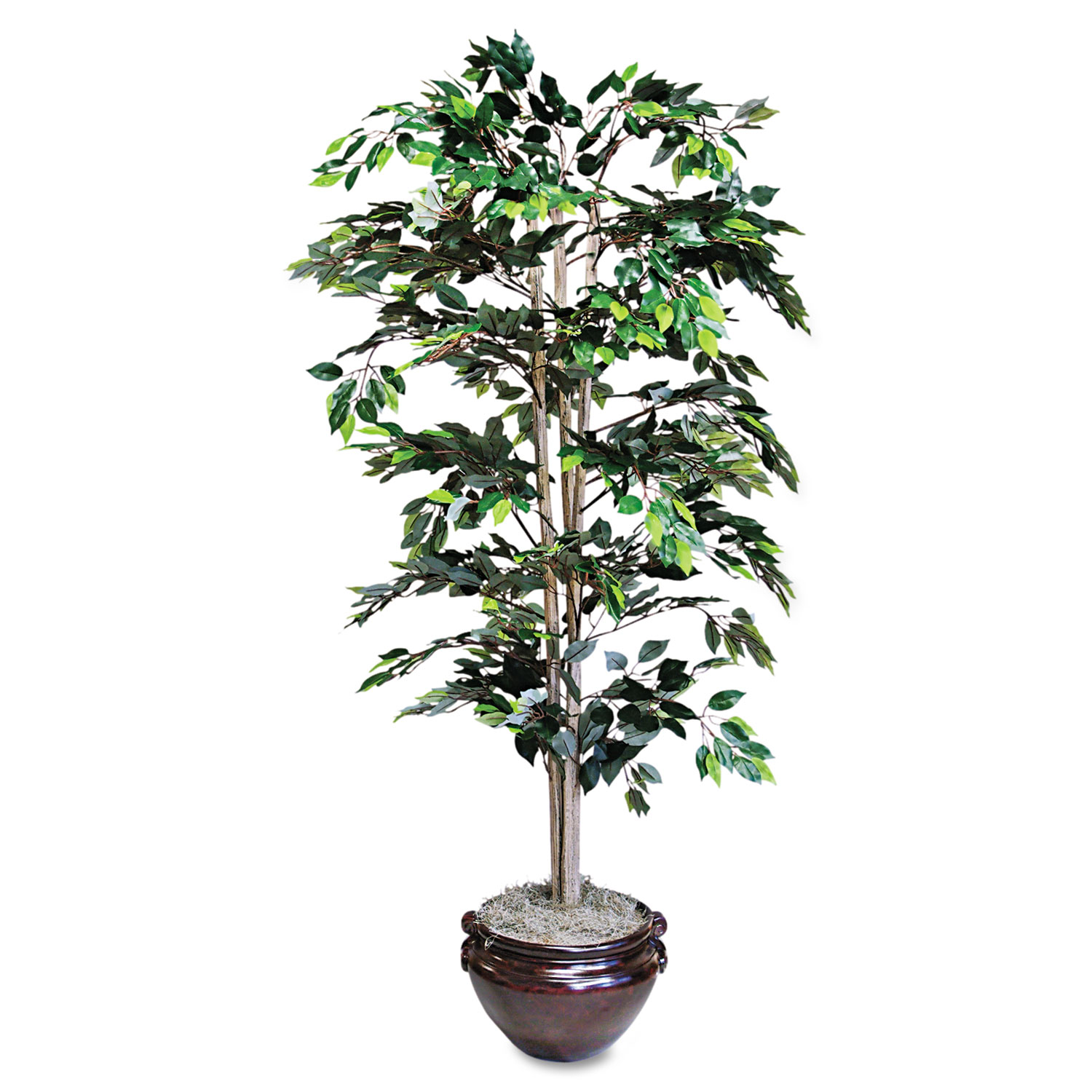 NuDell™ Artificial Ficus Tree, 6-ft. Overall Height