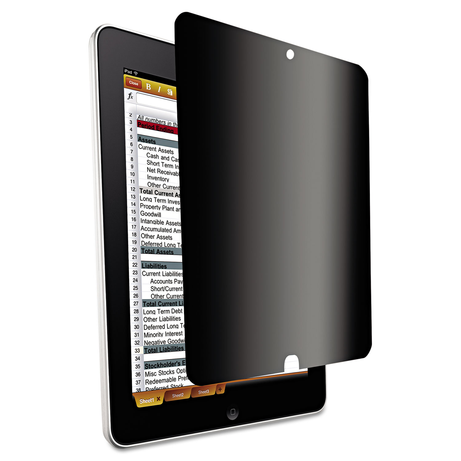 Secure-View Four-Way Privacy Filter for iPad 2/3rd Gen, Black