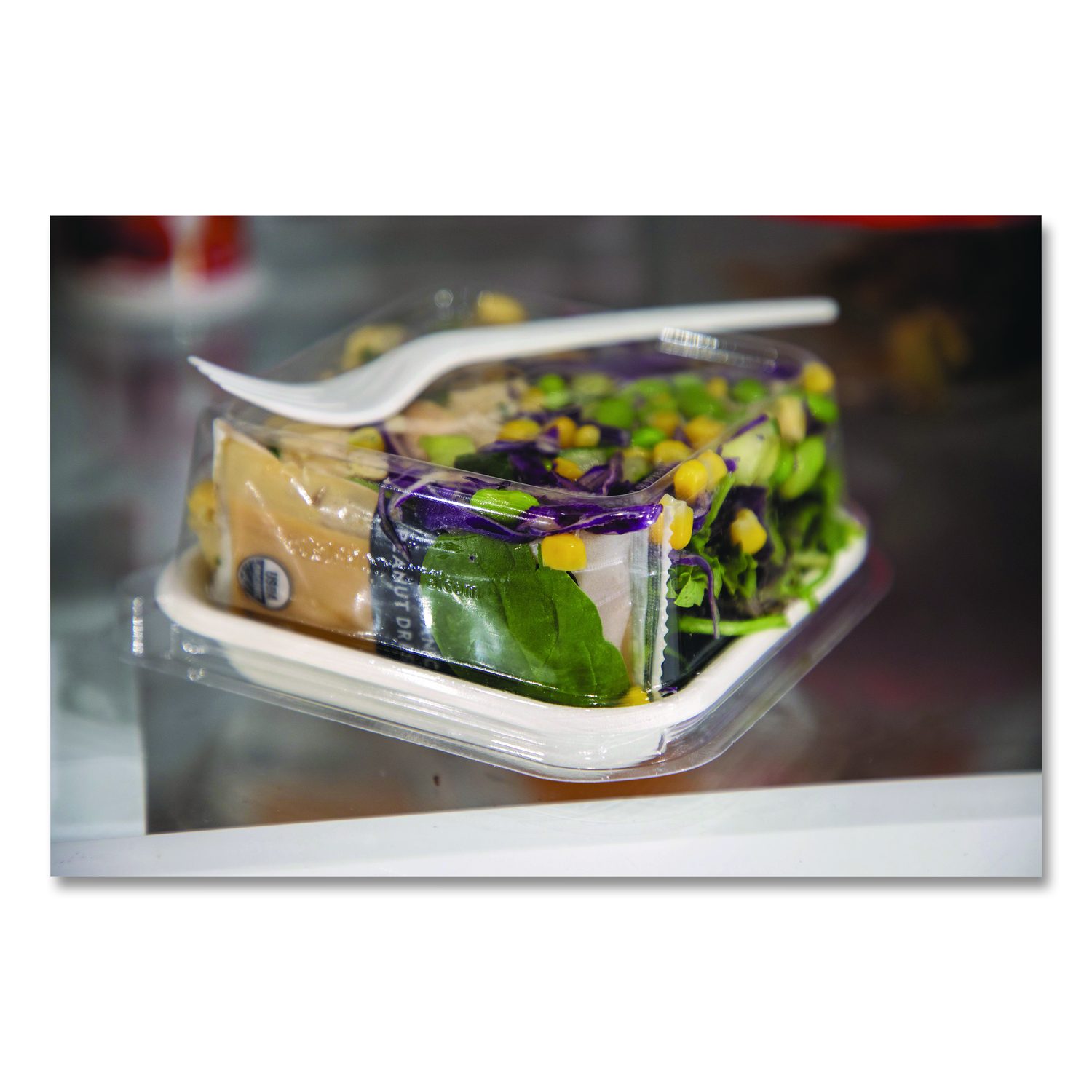 Renewable and Compostable Lids, Fits 5
